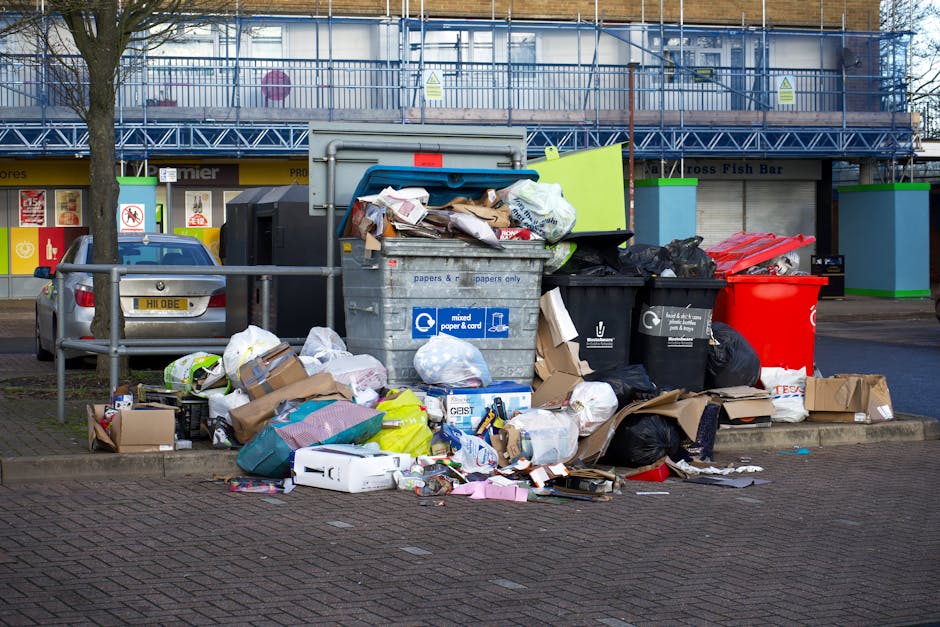 Avoid Hidden Rubbish Charges in South Kensington
